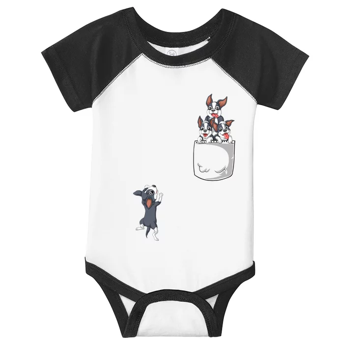 Boston Terrier Pocket Infant Baby Jersey Bodysuit