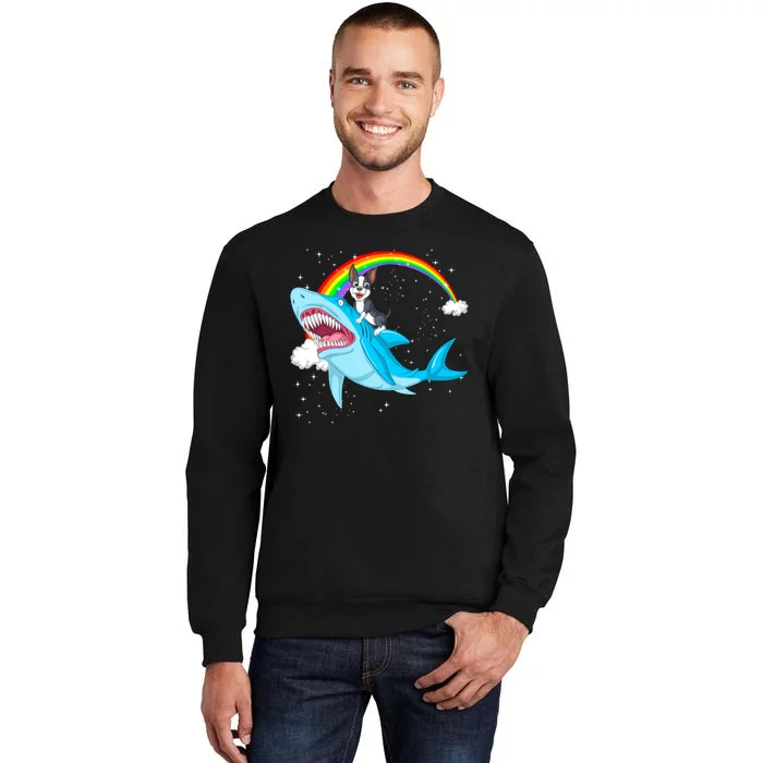 Boston Terrier Riding Shark Tall Sweatshirt