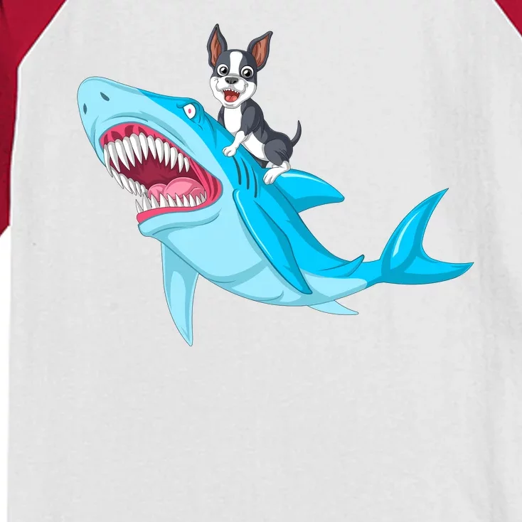 Boston Terrier Riding Shark Kids Colorblock Raglan Jersey