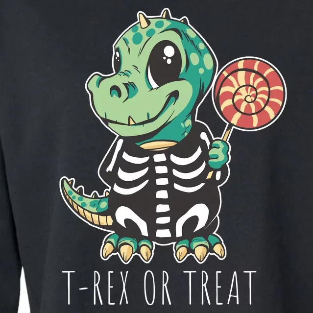 Baby T Rex Dinosaur Skeleton Cropped Pullover Crew