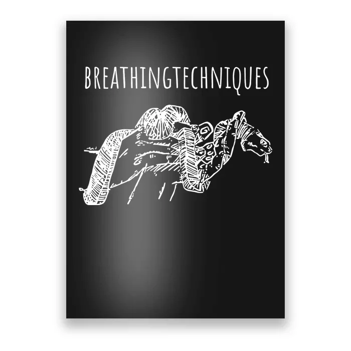 Breathing Techniques Snake Poster