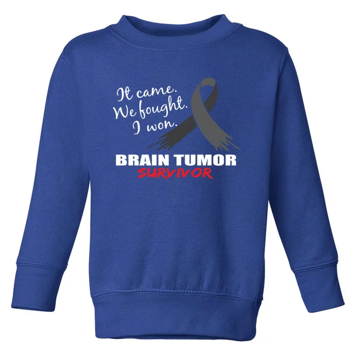 Brain Tumor Survivor Brain Tumor Awareness Meaningful Gift Toddler Sweatshirt