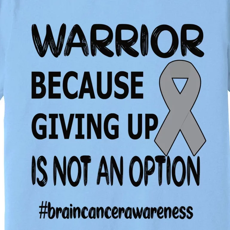 Brain Tumor Warrior Brain Cancer Awareness Ribbon Gift Premium T-Shirt