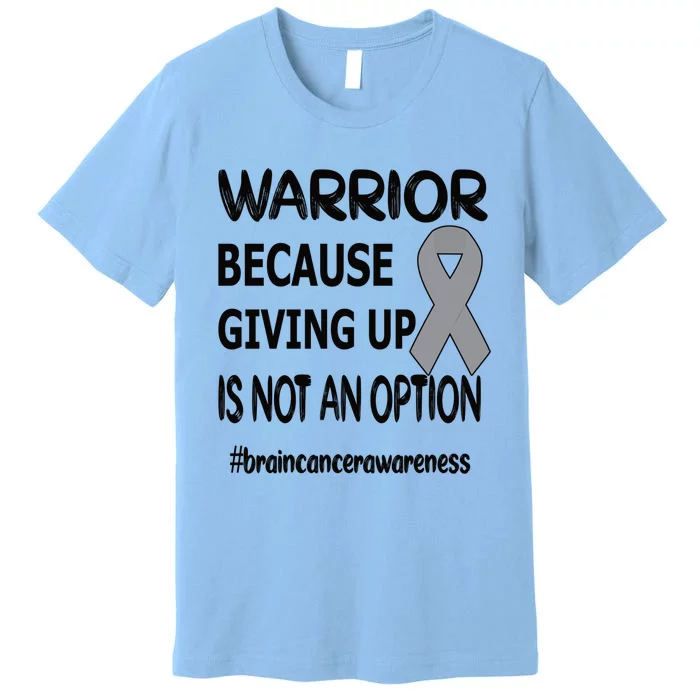 Brain Tumor Warrior Brain Cancer Awareness Ribbon Gift Premium T-Shirt