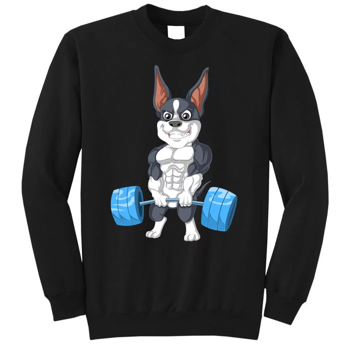 Boston Terrier Weightlifting Tall Sweatshirt