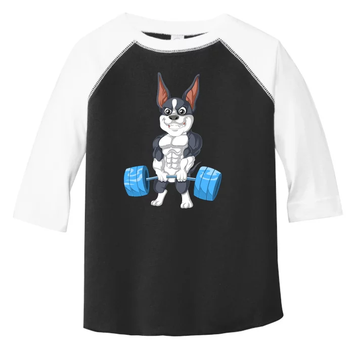 Boston Terrier Weightlifting Toddler Fine Jersey T-Shirt