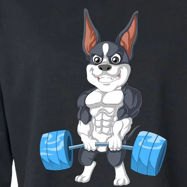 Boston Terrier Weightlifting Cropped Pullover Crew