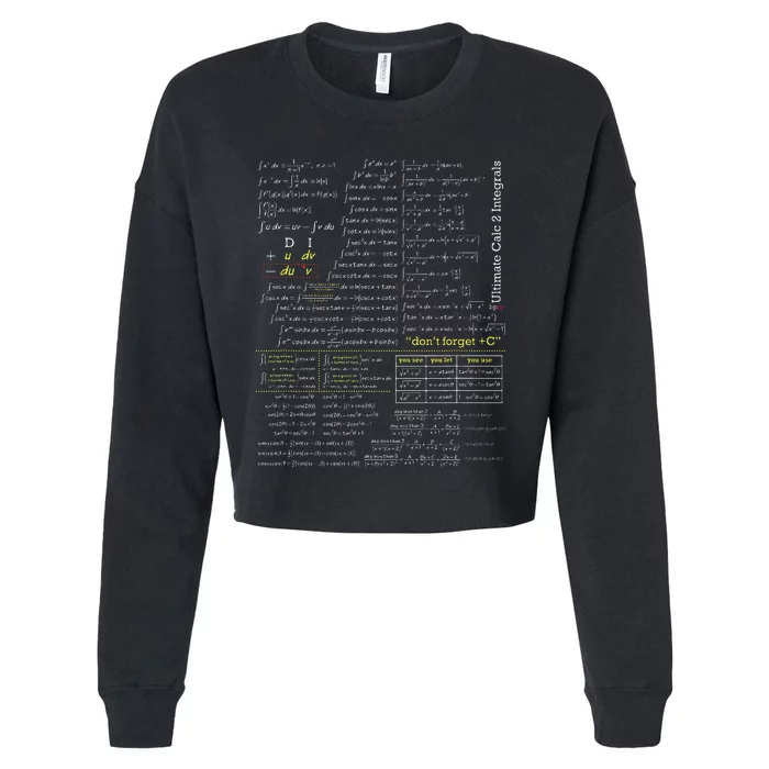 Blackpenredpen Ultimate Calculus 2 Integral Cropped Pullover Crew