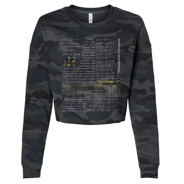 blackpenredpen ultimate calculus 2 integral Cropped Pullover Crew