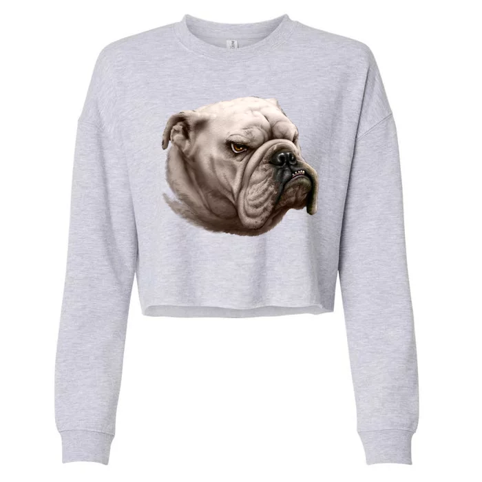 Bulldog Cropped Pullover Crew