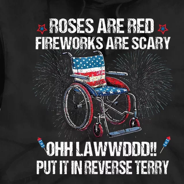 Back Up Terry Put It In Reverse Fireworks Fourth Of July Tie Dye Hoodie