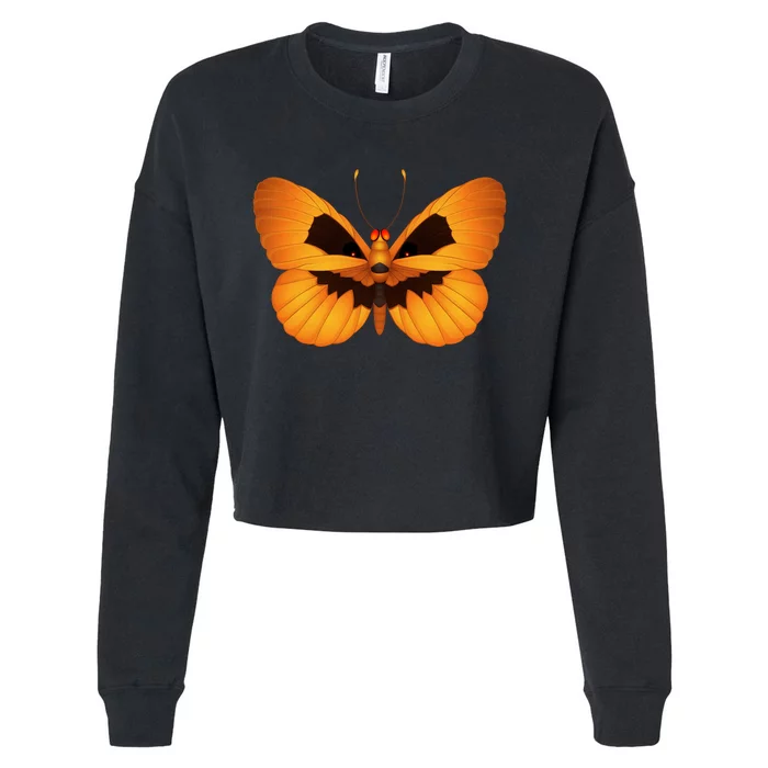 Butterfly With Face Halloween Pumpkin Cropped Pullover Crew