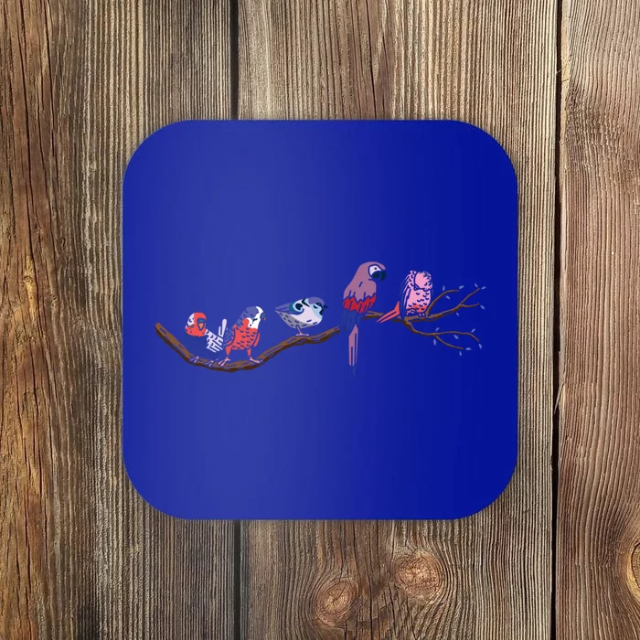 Bird Whisperer Bird Lover Ornithology Ornithologist Gift Coaster