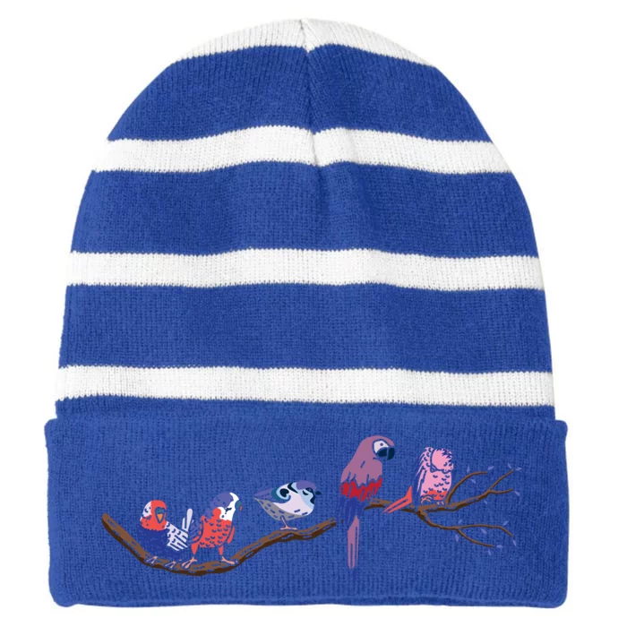 Bird Whisperer Bird Lover Ornithology Ornithologist Gift Striped Beanie with Solid Band