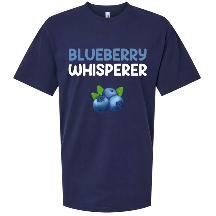 Blueberry Whisperer Blueberry Gift Sueded Cloud Jersey T-Shirt