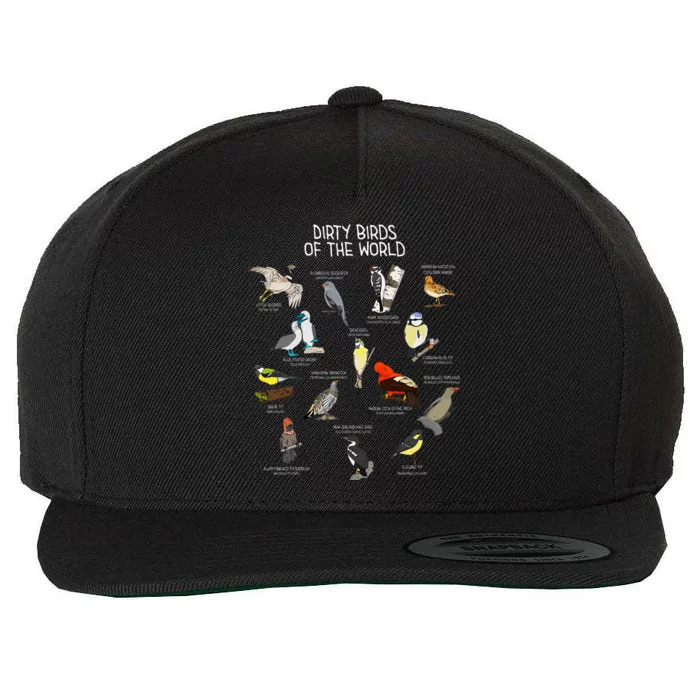 Bird Watching Dirty Birds Of The World Funny Birding Wool Snapback Cap