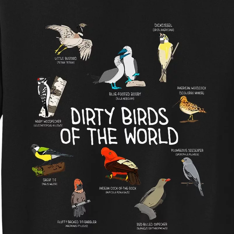 Bird Watching Dirty Birds Of The World Funny Birding Sweatshirt