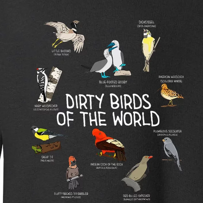 Bird Watching Dirty Birds Of The World Funny Birding Toddler Sweatshirt