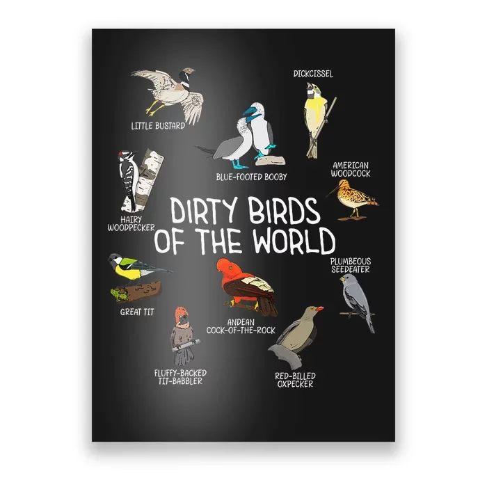 Bird Watching Dirty Birds Of The World Funny Birding Poster