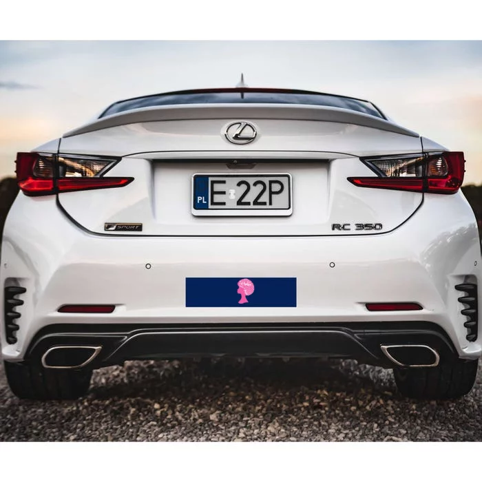 Black Woman Fighter Support Breast Cancer Bumper Sticker