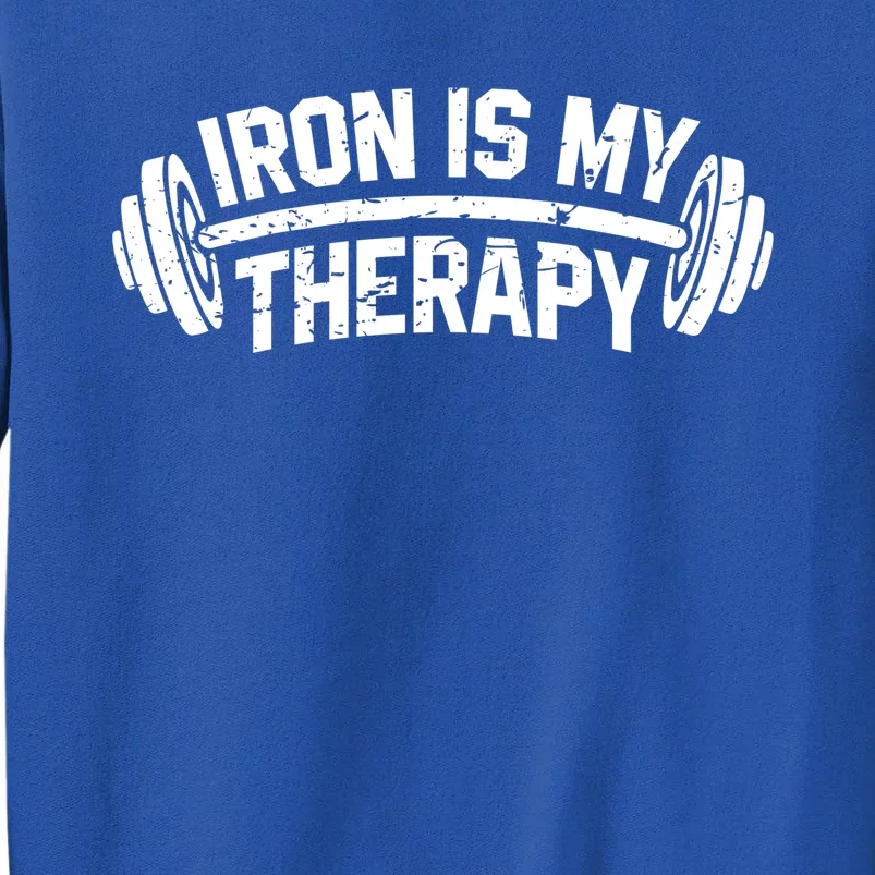 Bodybuilding Workout Funny Gift Iron Is My Therapy Gym Hoody Sweatshirt