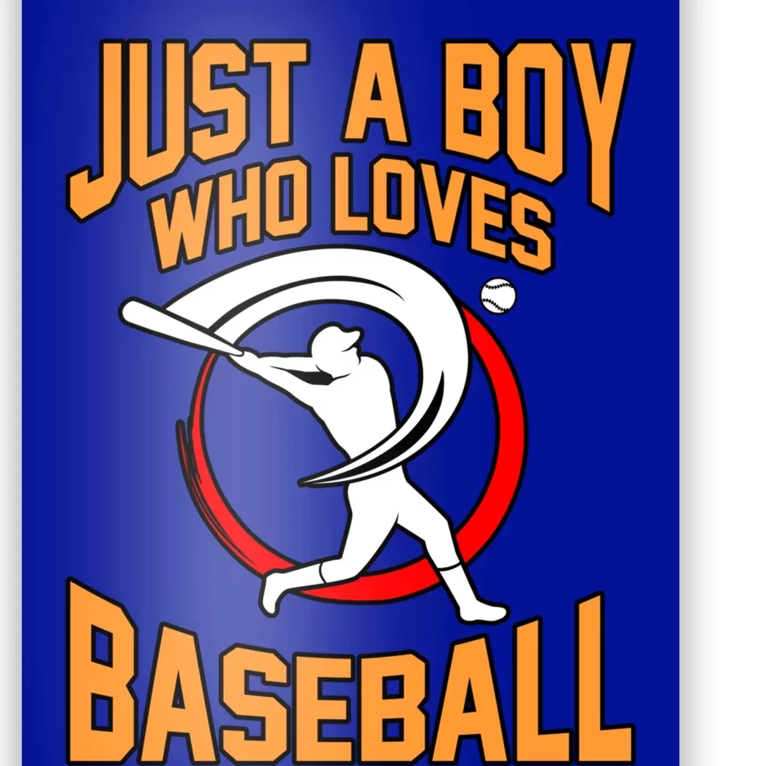 Boy Who Loves Baseball Sports Player Lover Coach Graphic Gift Poster