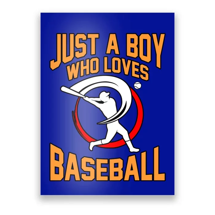 Boy Who Loves Baseball Sports Player Lover Coach Graphic Gift Poster