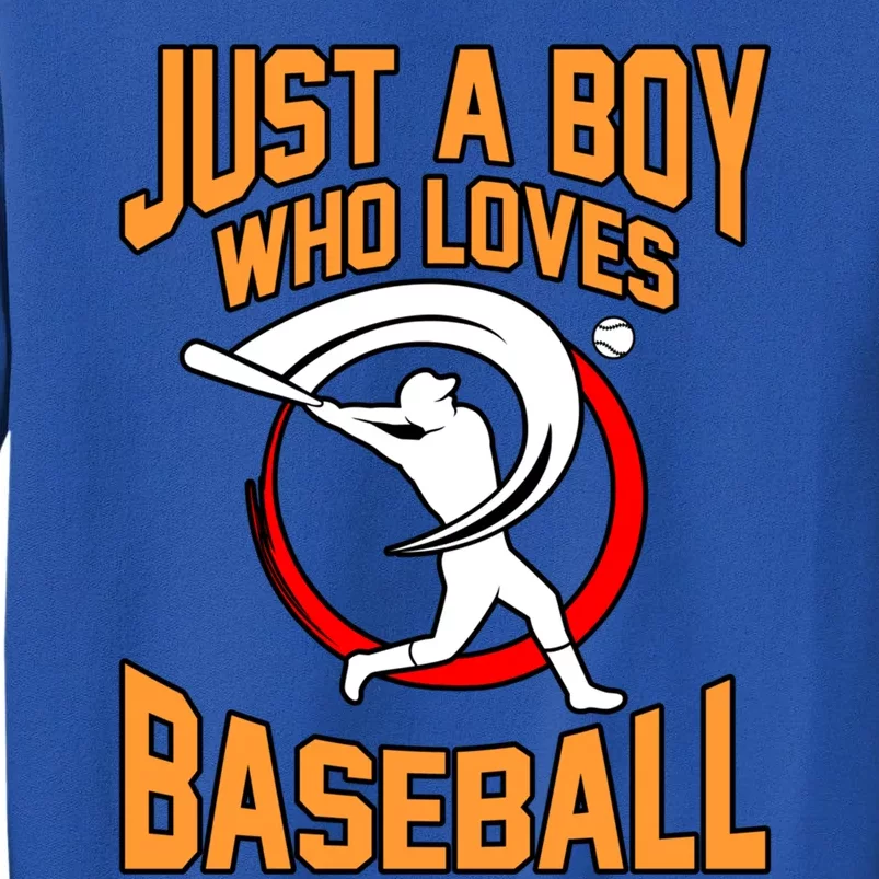 Boy Who Loves Baseball Sports Player Lover Coach Graphic Gift Tall Sweatshirt