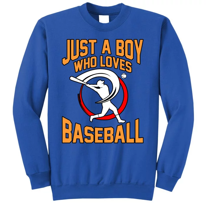 Boy Who Loves Baseball Sports Player Lover Coach Graphic Gift Tall Sweatshirt