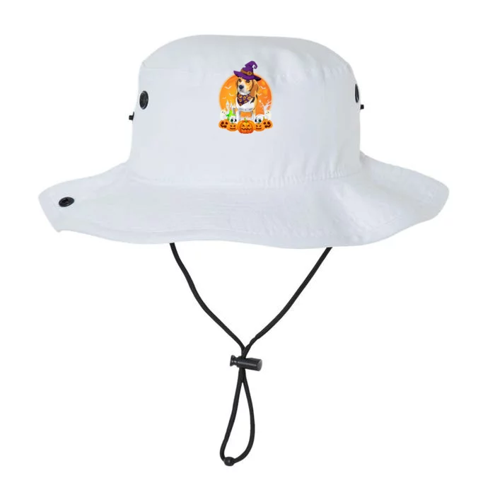 Beagle Witch Pumpkin Halloween Dog Lover Funny Gift Legacy Cool Fit Booney Bucket Hat