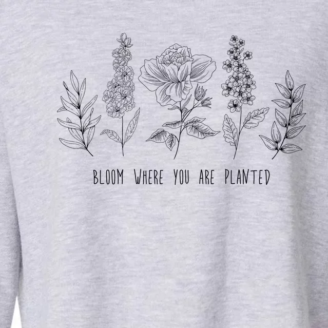 Bloom Where You Are Planted Grow Flower Plants Cropped Pullover Crew