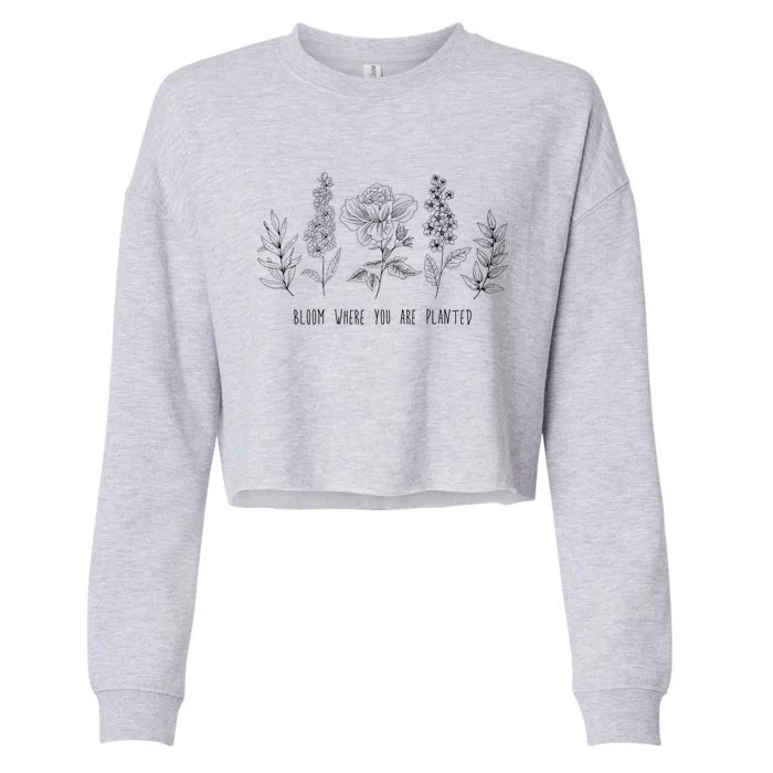 Bloom Where You Are Planted Grow Flower Plants Cropped Pullover Crew