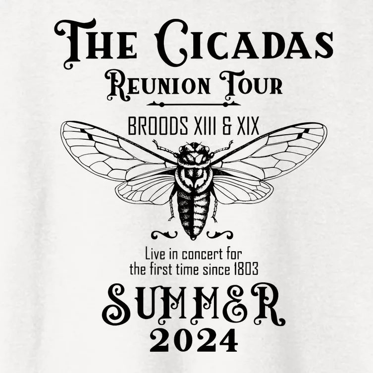 Brood Xix Xiii Cicada Invasion Summer 2024 Cicada 80s Band Women's Crop Top Tee