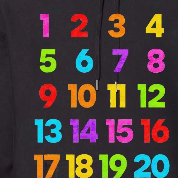 Counting 1-10 Learn to Count Number funnyTeacher Premium Hoodie