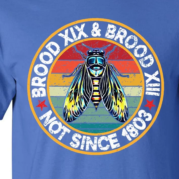 Cicada 2024 Brood Xiii & Xix Swarm Not Since 1803 Tall T-Shirt