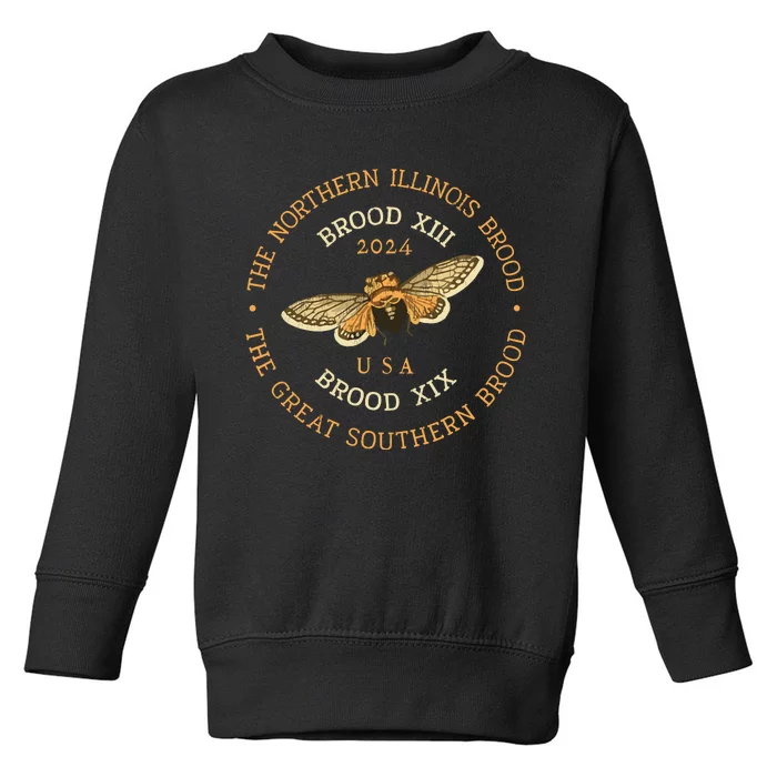 Cicada 2024 Brood Xix & Xiii Co Emergence Magicicada Vintage Toddler Sweatshirt