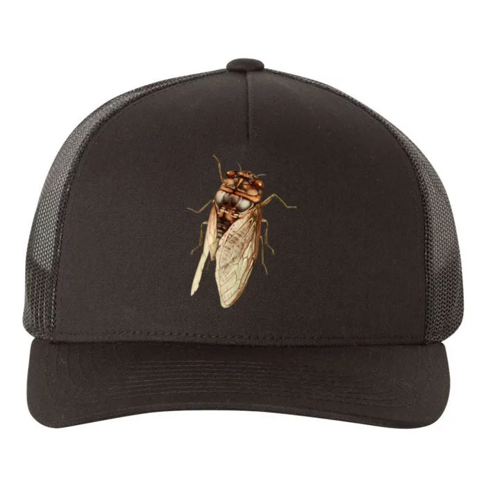 Cicada 2024 Yupoong Adult 5-Panel Trucker Hat