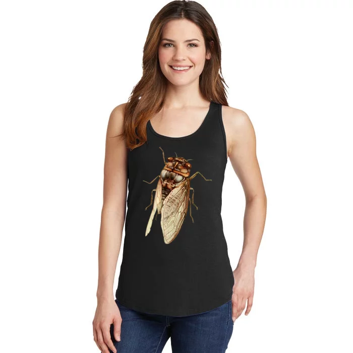 Cicada 2024 Ladies Essential Tank