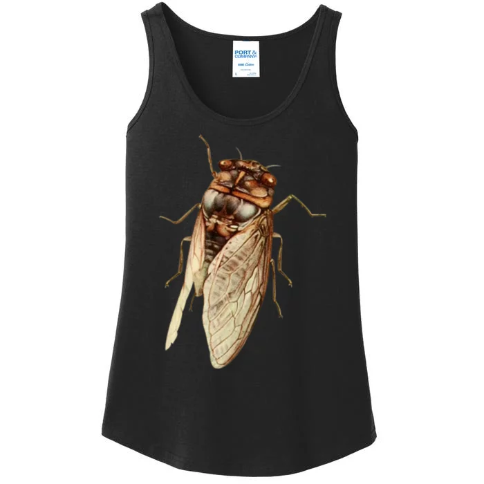 Cicada 2024 Ladies Essential Tank