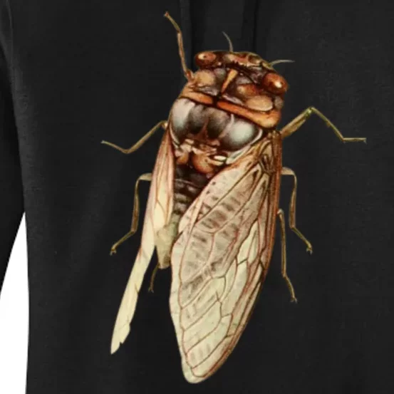 Cicada 2024 Women's Pullover Hoodie