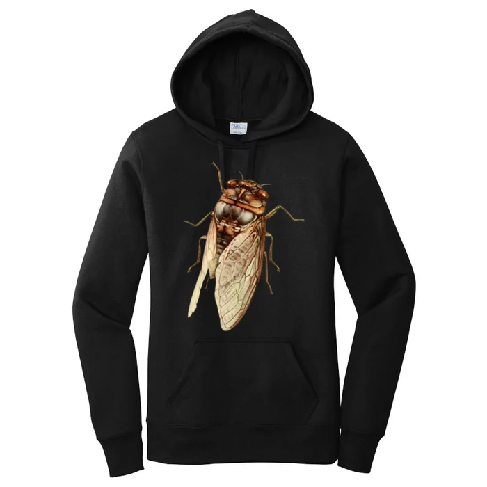 Cicada 2024 Women's Pullover Hoodie