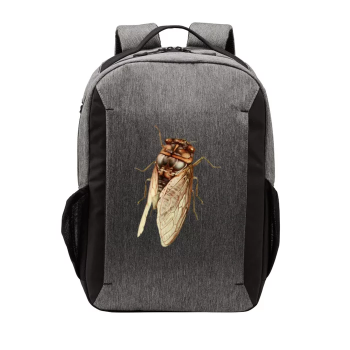 Cicada 2024 Vector Backpack