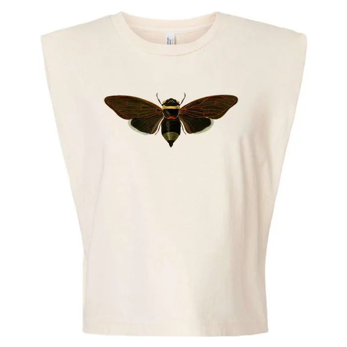 Cicada 2024 Garment-Dyed Women's Muscle Tee