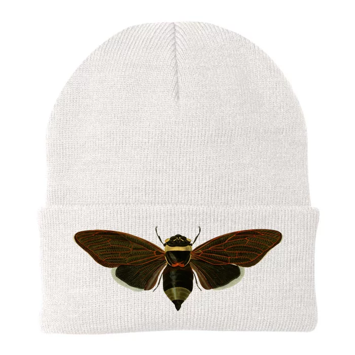 Cicada 2024 Knit Cap Winter Beanie