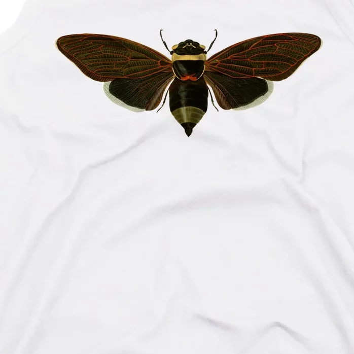 Cicada 2024 Tank Top