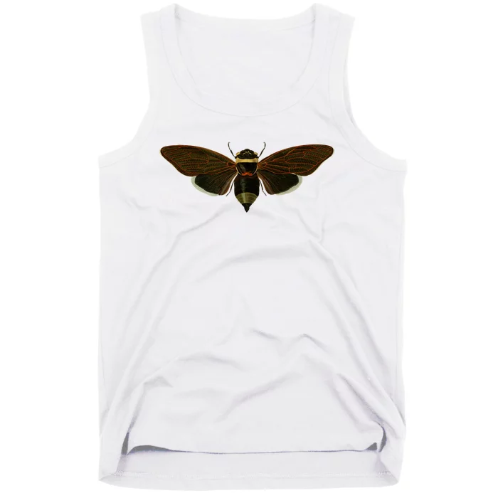 Cicada 2024 Tank Top