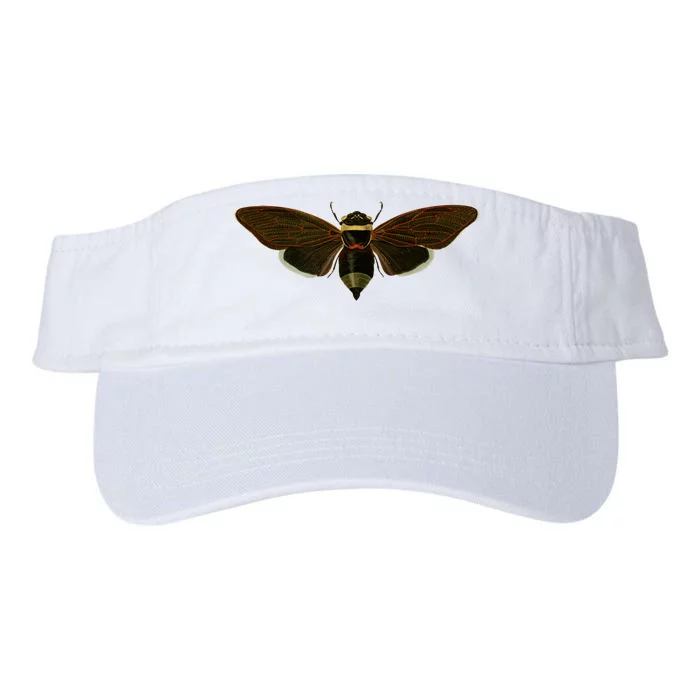 Cicada 2024 Valucap Bio-Washed Visor