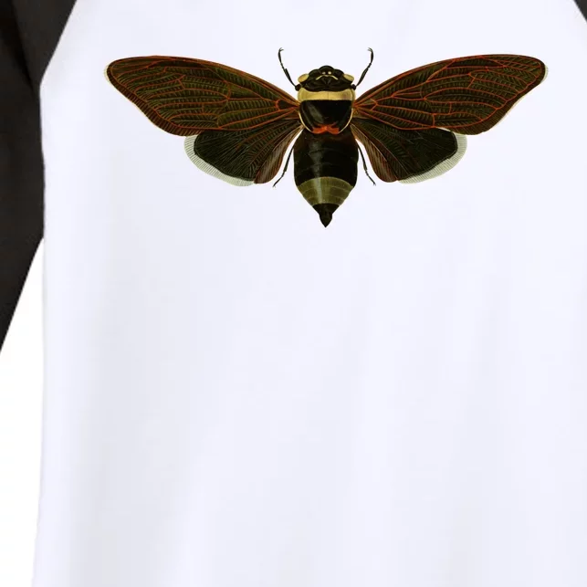 Cicada 2024 Women's Tri-Blend 3/4-Sleeve Raglan Shirt