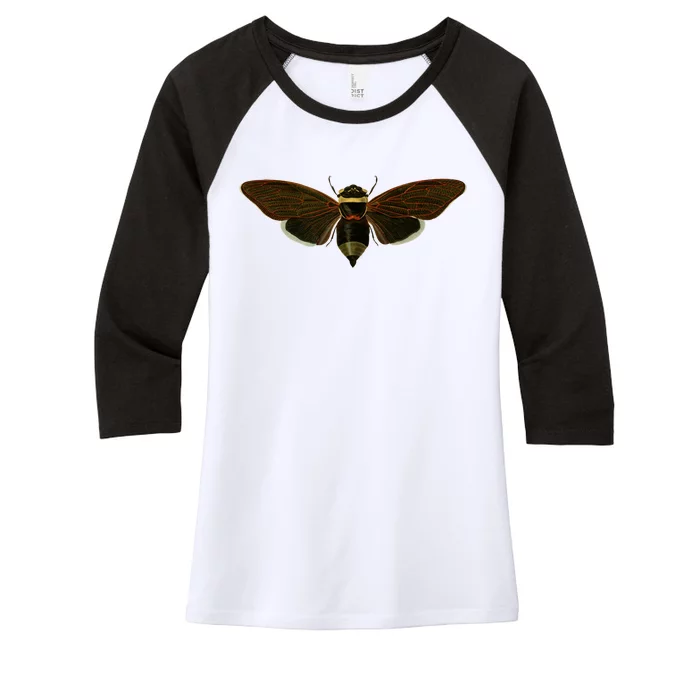 Cicada 2024 Women's Tri-Blend 3/4-Sleeve Raglan Shirt