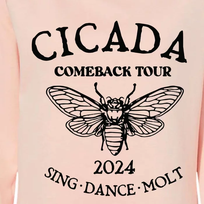 Cicada 2024 Cicada Reunion Funny Cicada Concert Womens California Wash Sweatshirt